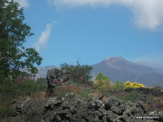 anobello-26-05-2013 09-30-56